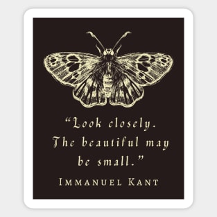 Immanuel Kant  portrait and quote: Look closely, the beautiful may be small. Sticker